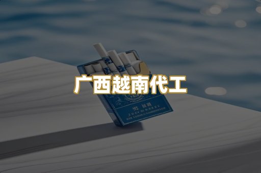 广西越南代工